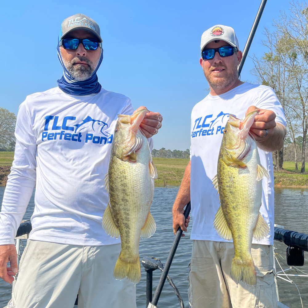 growing-trophy-bass-1000x1000 Growing Trophy Bass - TLC Perfect Pond Management Services